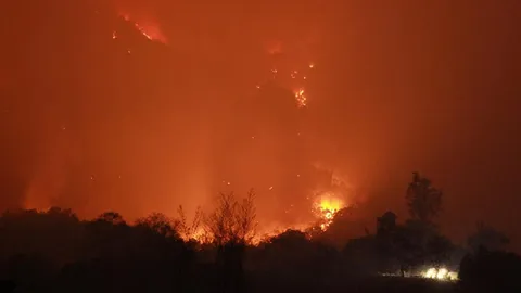 ศาลจำคุก 2 ปี พม่าเผาป่าเชียงดาว ไม่รอลงอาญา ให้ชดใช้อีก 4.3 เเสน