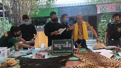 ค้น “อาศรม อ.คม” ซากสัตว์ป่าสงวน-สัตว์ป่าคุ้มครองอื้อ ปลุกเสกทำของขลัง