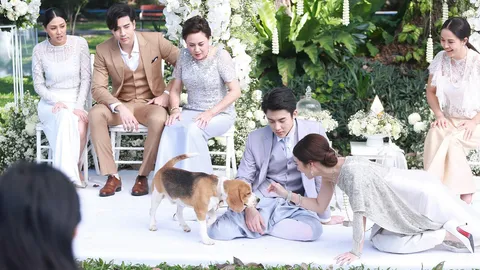 “หมาก-มิว” หวิด วิวาห์ล่ม หมา แมว วิ่งวุ่น ป่วนงาน ใน “อกเกือบหักแอบรักคุณสามี”