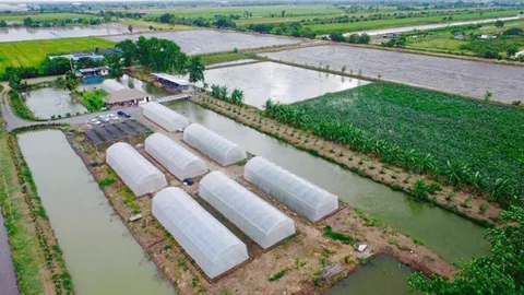 ลุงแดง...ฟาร์มครบวงจร สละพื้นที่ 50% ขุดบ่อ