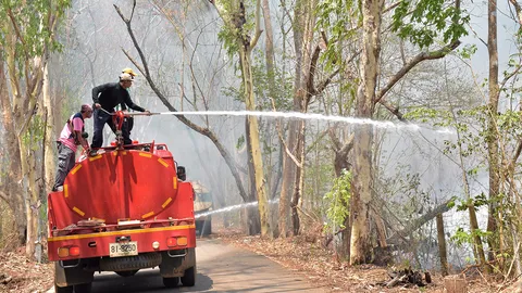 ดับไฟป่า