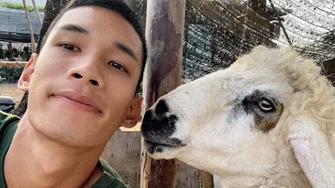 ทีวีบันเทิง : แกะ ลอ เลีย