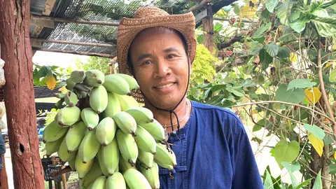 ส่องชีวิตแสนติดดิน ไมค์ ภิรมย์พร ทำนา ปลูกผัก ใช้ชีวิตพอเพียง