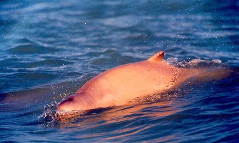 โลกาภิวัตน์  01/07/54