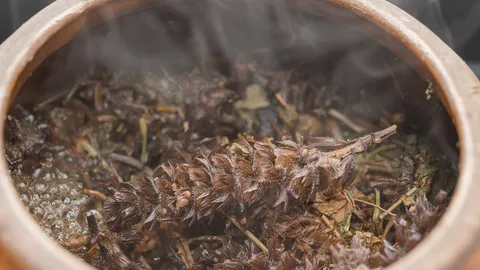 ชักธงรบ : อิทธิฤทธิ์ พิทยาธร