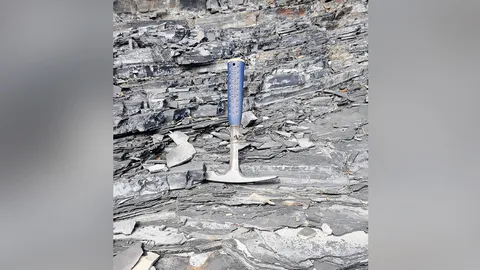 ความเชื่อมโยงสูญพันธุ์ครั้งใหญ่ 444 ล้านปี