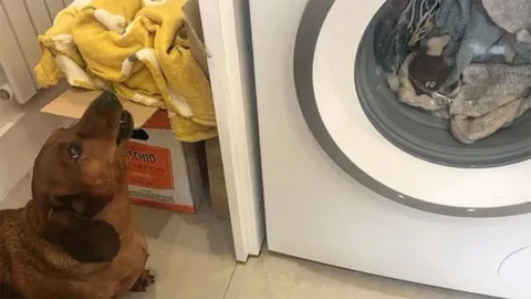 เปิดม่าน Joke Opera : เห่าช่วยเพื่อนซี้