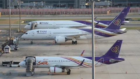 คาบลูกคาบดอก : ปมการบินไทย