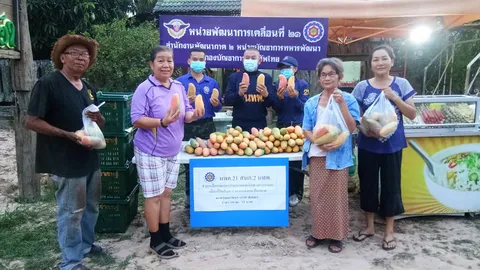 พิษโควิดทำมะม่วงขายไม่ออก 'นพค.21' โดดอุ้มรับซื้อ นำขายต่อ ปชช.ราคาถูก