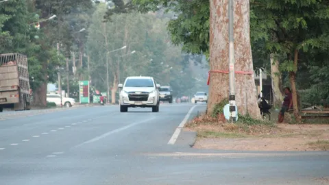 กรมทางหลวงปัดตัดต้นยางนาที่ยโสธร ย้ำยกเลิกโครงการและแจ้งทางจังหวัดแล้ว 