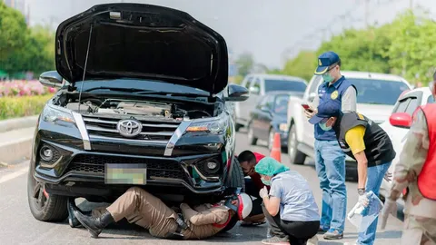 ช่วยลูกแมว