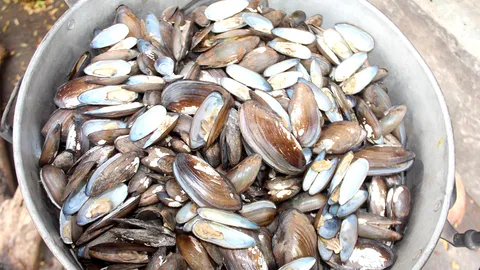 ชาวบ้านจระเข้หิน งมหาหอยทรายไปตากแห้ง ทำเมนูอร่อยและประหยัดสู้โควิด-19