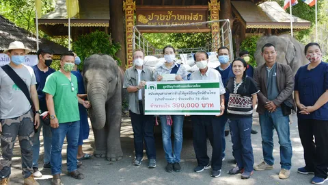 มูลนิธิอนุรักษ์ช้างและสิ่งแวดล้อม มอบเงินช่วย 2 ปางช้างสู้วิกฤติโควิด-19