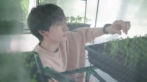 เริ่มปลูกผักกินเอง กองทัพ พีค-พ่อ กับเป้าหมายเล็กๆ ที่บ้าน