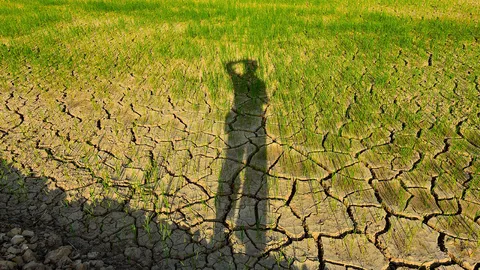 องคมนตรีสุดเป็นห่วงภัยแล้ง ออมสินคาดรุนแรงสุดรอบ 20 ปี