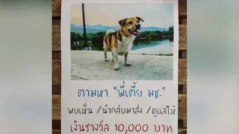 ยังไม่เจอ "เตี้ย มช." เผยเบาะแสล่าสุด ใครเจอ ส่งตัวคืน ให้ 10,000 บาท