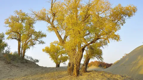 ชักธงรบ : วิชาปลูกคน