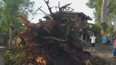 พายุฤดูร้อนถล่มเชียงใหม่ ‘สันกำแพง-สารภี’ อ่วม เสาไฟ ต้นไม้ล้ม-บ้านพัง