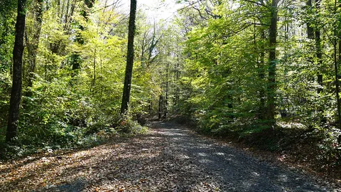 ต้องรอนาน