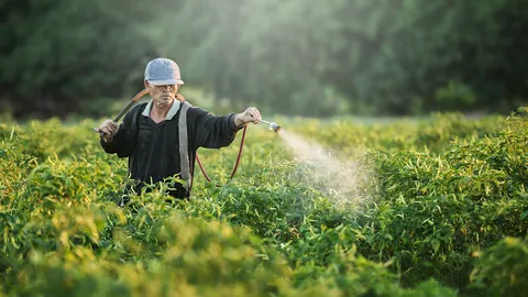 เกษตรกรปลูกพืช ช่วงมิ.ย. ขึ้นทะเบียนก่อน 15 พ.ค. รับสิทธิ์เงิน 15,000