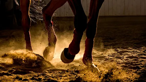 เปิดฟ้าภาษาโลก : That is a leap in the dark.