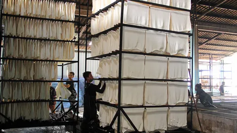 กยท.เร่งจ่ายเงินประกันฯ ขยายพักหนี้ถึงสิ้น ก.ย.นี้