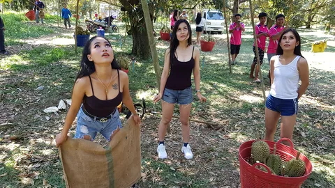 แดนเซอร์ไร้งานช่วงโควิด มารับจ้างตัดทุเรียน เจ้าของสวนชมเก่งไม่แพ้ผู้ชาย (คลิป)