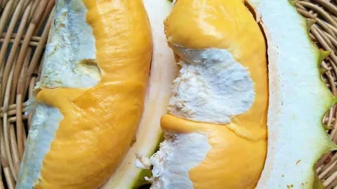 Business On My Way :  "MeZ" ผู้ช่วยยกระดับคุณภาพชีวิตชาวสวนผลไม้