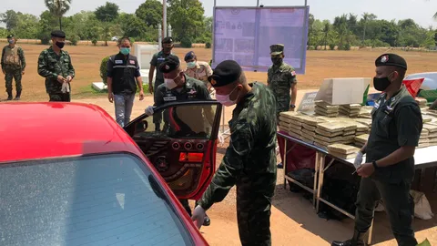 ตชด.ยึดอีกเกือบครึ่งตัน กัญชานำเข้าจากลาว งานนี้ผู้ใหญ่บ้านทำซะเอง