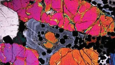 ค้นพบโลหะแพลทินัมใต้ภูเขาไฟอายุ 60 ล้านปี