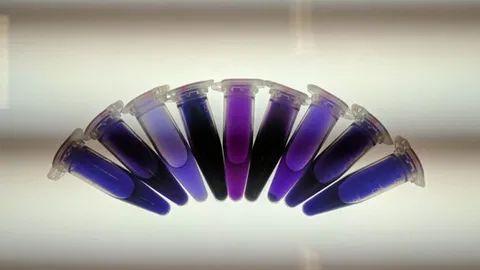 ใช้แบคทีเรียในการสร้างโมเลกุลยา