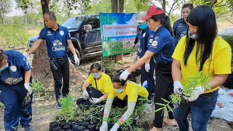 มองทั่วทิศเมืองไทย : กศน.ปลูกไผ่มงคลเสริมเรียนรู้