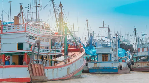 ครม.ไฟเขียวปล่อยสินเชื่อให้ชาวประมงทั่วประเทศ วงเงิน 10,300 ล้านบาท