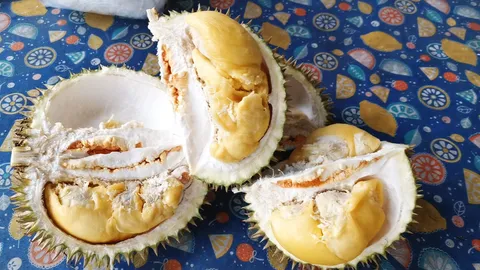 ครั้งหนึ่งในชีวิตต้องได้ชิม "ทุเรียนสาลิกาพังงา" หวาน มัน หอมแต่ไม่ฉุน