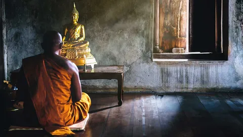 ช้าไป 3 เดือน