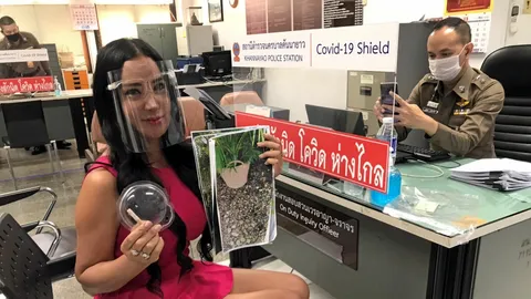 โชว์หลักฐาน 