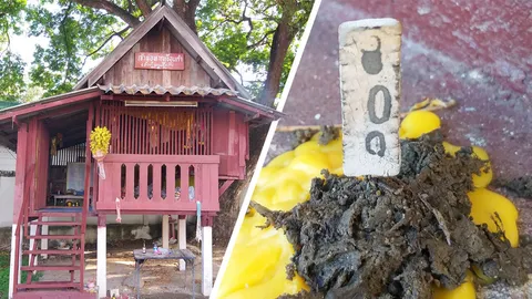 ส่องเลขเด็ด พิธีเลี้ยงศาลพ่อบ้านเชียงแสน มีเลข 2 ตัว ตรงกับเลขมงคล