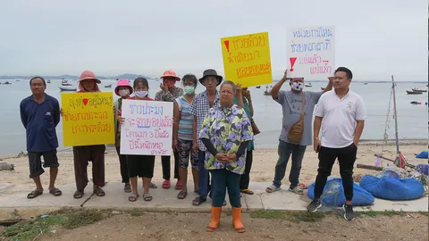 ฟาร์มหอยแมลงภู่ชลบุรี โอดเจ๊งยับ 60 ล้าน น้ำเสียไหลลงทะเล หอยตายยกไร่