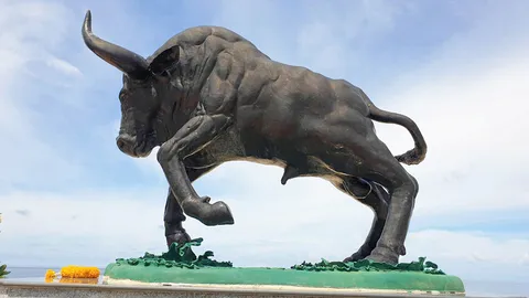 "วัวกระทิงโทน" มาแรง พาเที่ยวทะเลหาดทุ่งวัวแล่น จ.ชุมพร