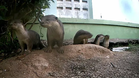 อยู่เป็นครอบครัว