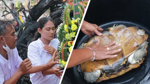 รวยแน่งวดนี้ "เจ้าแม่ศรีสุดา" ให้ 3 ตัวตรง หลังถูกมาแล้ว 3 งวด (คลิป)