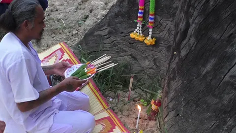 คอหวยฮือฮา "พ่อมดแห่งต้นตะเคียน" ทำพิธีกรรมแปลก เห็นเลขเด็ดโผล่ 3 ตัว (คลิป)