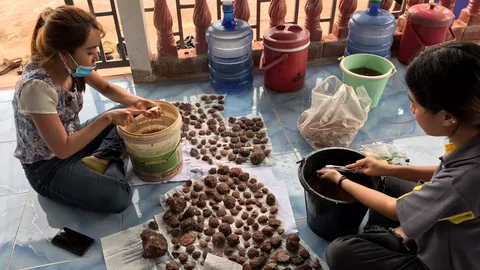 ทีมสำรวจ ม.มหาสารคาม พบฟอสซิลหอย 130 ล้านปี ที่วัดภูกุ้มข้าว จ.ร้อยเอ็ด