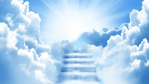 ชักธงรบ : นางฟ้ากลับฟ้า