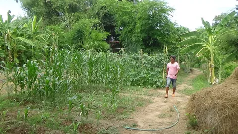 หนุ่มวัย 45 ทำเกษตรพอเพียงบนพื้นที่ 3 งาน ไม่เดือดร้อนช่วงโควิดระบาด