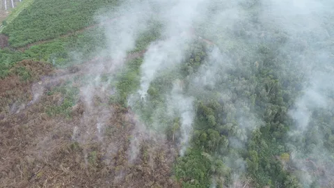 ไฟป่าพรุบาเจาะเหลืออีก 20% จ.นราธิวาส ขอสนับสนุน ฮ.ดับไฟ ปภ.ช่วยเสริม