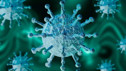 งานวิจัยพบ ผู้ป่วยโควิด-19 ไม่แสดงอาการ สามารถแพร่เชื้อได้นาน 12 วัน