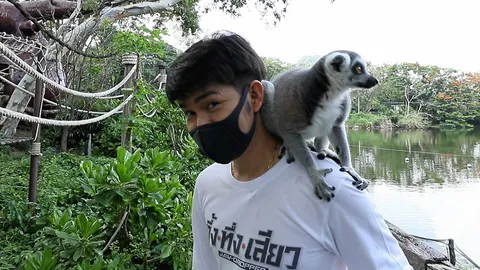“กุ้ง” ร้องลั่นลีเมอร์จู่โจม ส่องสวนสัตว์เขาเขียววันไร้ผู้คน