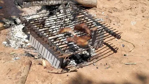  คนในคลิป "ฆ่าหมากิน" วอนวอชด็อก อย่าปรักปรำ ยันแค่เก็บซากมาย่าง 