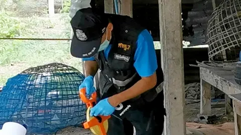 หนี้เลือด